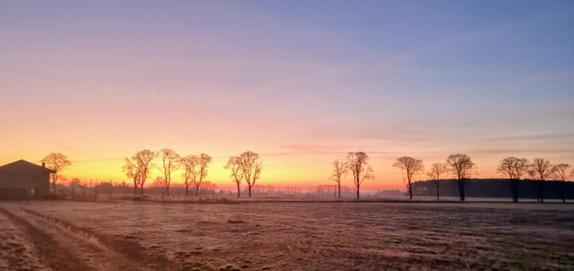 Morgendämmerung über einer frostigen Landschaft mit Bäumen und Gebäuden im Hintergrund.